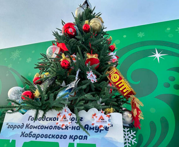 Горожане могут проголосовать за ёлку Комсомольска, установленную в Хабаровске на площади Ленина