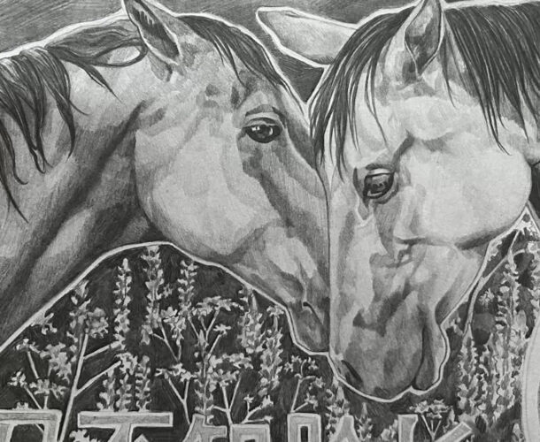 Комсомольские школьники стали призёрами всероссийского конкурса «лошадиных» рисунков