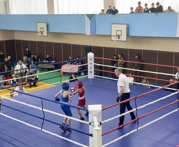 Боксёры из шести субъектов РФ приняли участие в турнире по боксу памяти Вячеслава Епишина