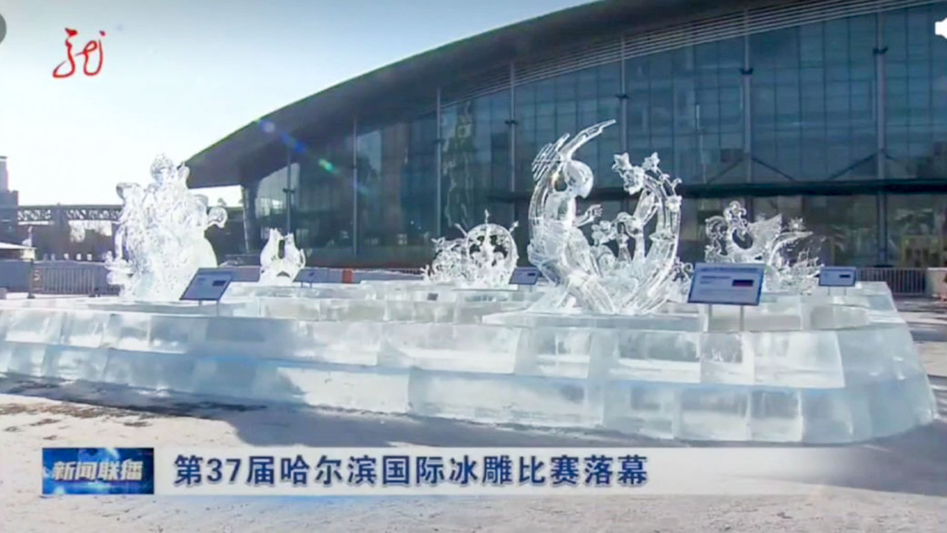 Мастера из Амурска одержали победу на конкурсе ледовых скульптур в Харбине