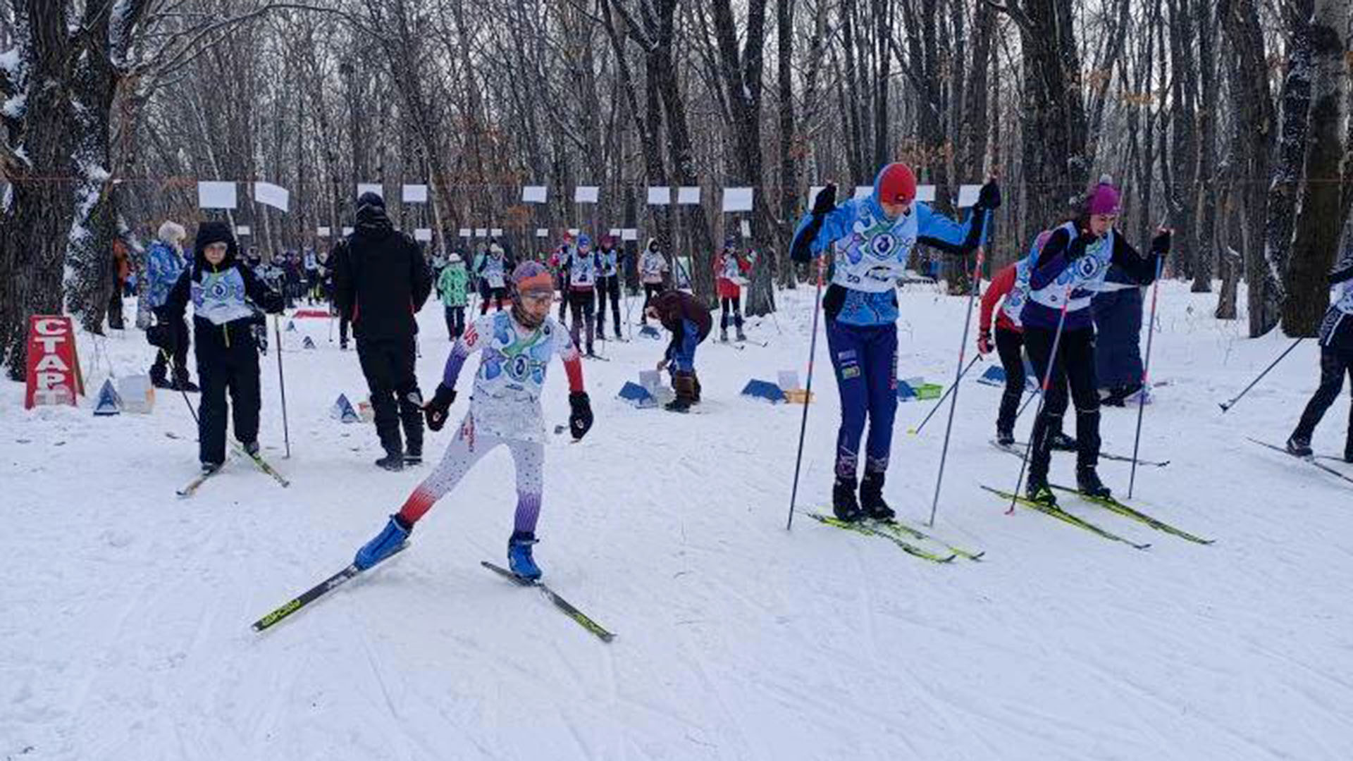 Комсомольские ориентировщики стали победителями Всероссийских соревнований «Тайны Амура»