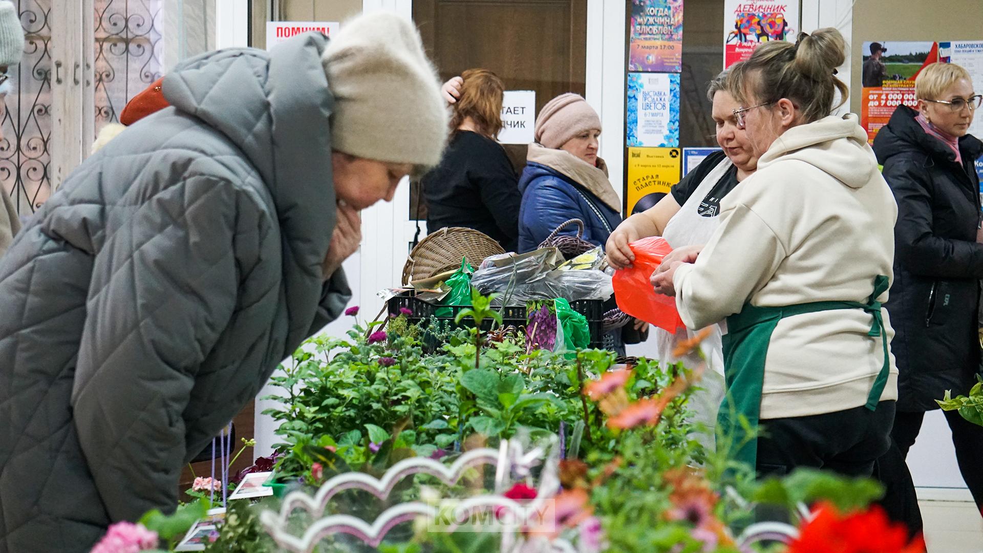 Папоротники, суккуленты и другие растения можно купить на ярмарке в Художественном музее