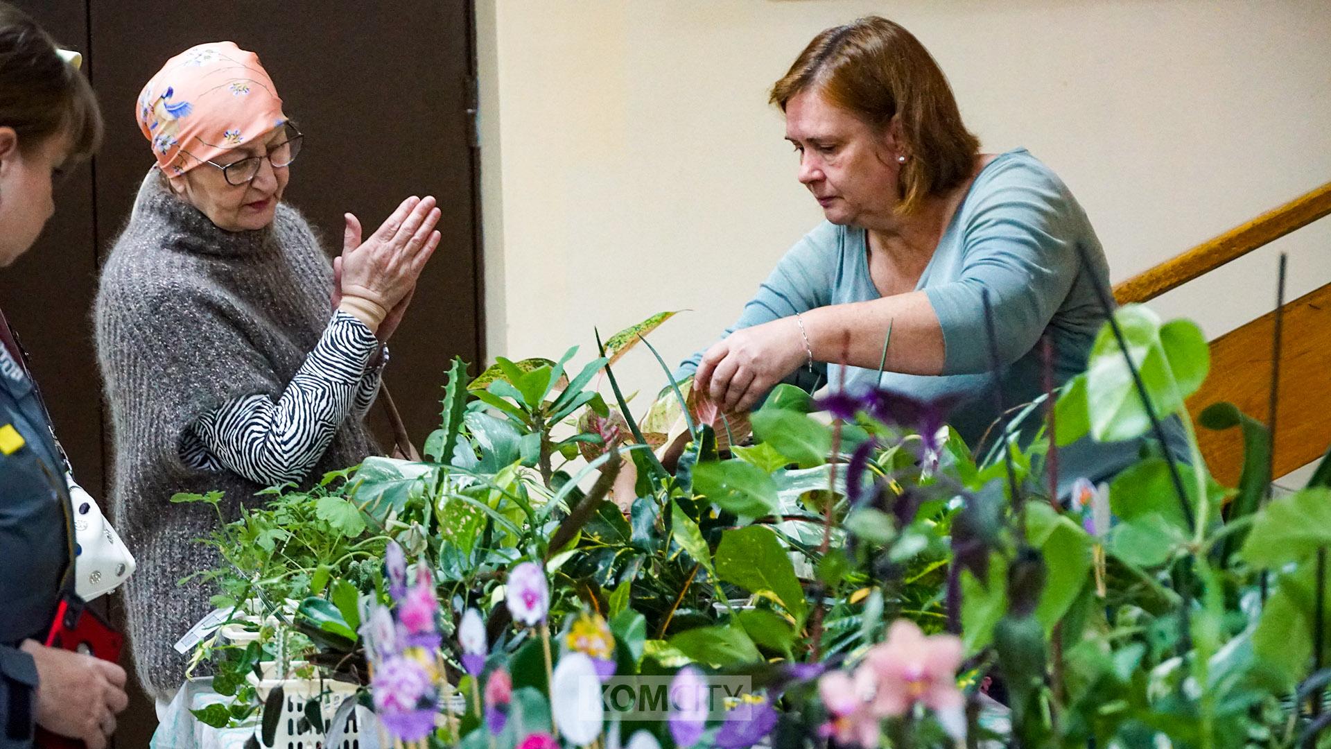 Весеннюю ярмарку комнатных растений проведут в Художественном музее на этих выходных