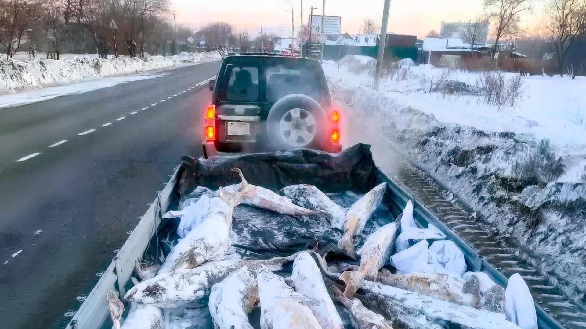 Комсомольчанин не смог провезти тонну осетра по Комсомольску