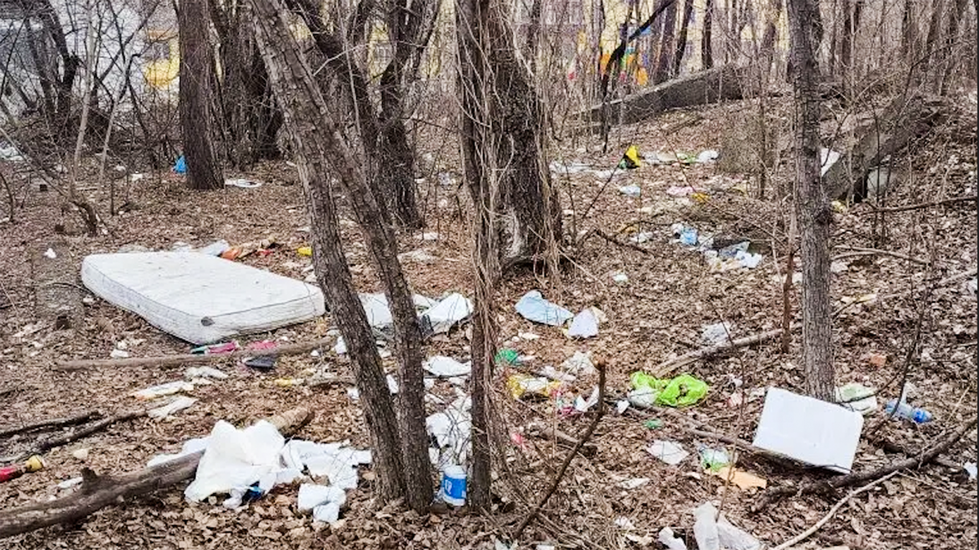 Комсомольчан зовут на субботник на Калинина — Дворцовом