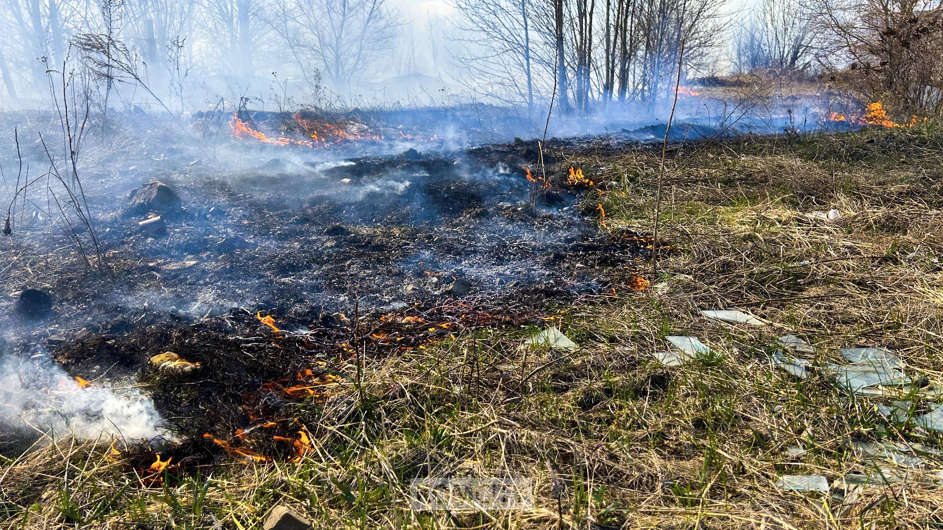 В Хабаровском крае из-за пожаров введён полный запрет на посещение лесов