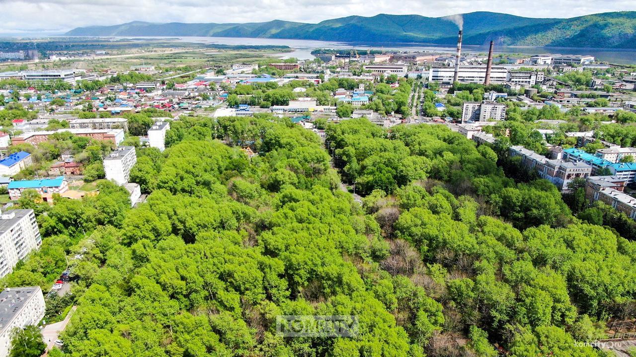 На реконструкцию парка Судостроителей попробуют получить 300 млн рублей