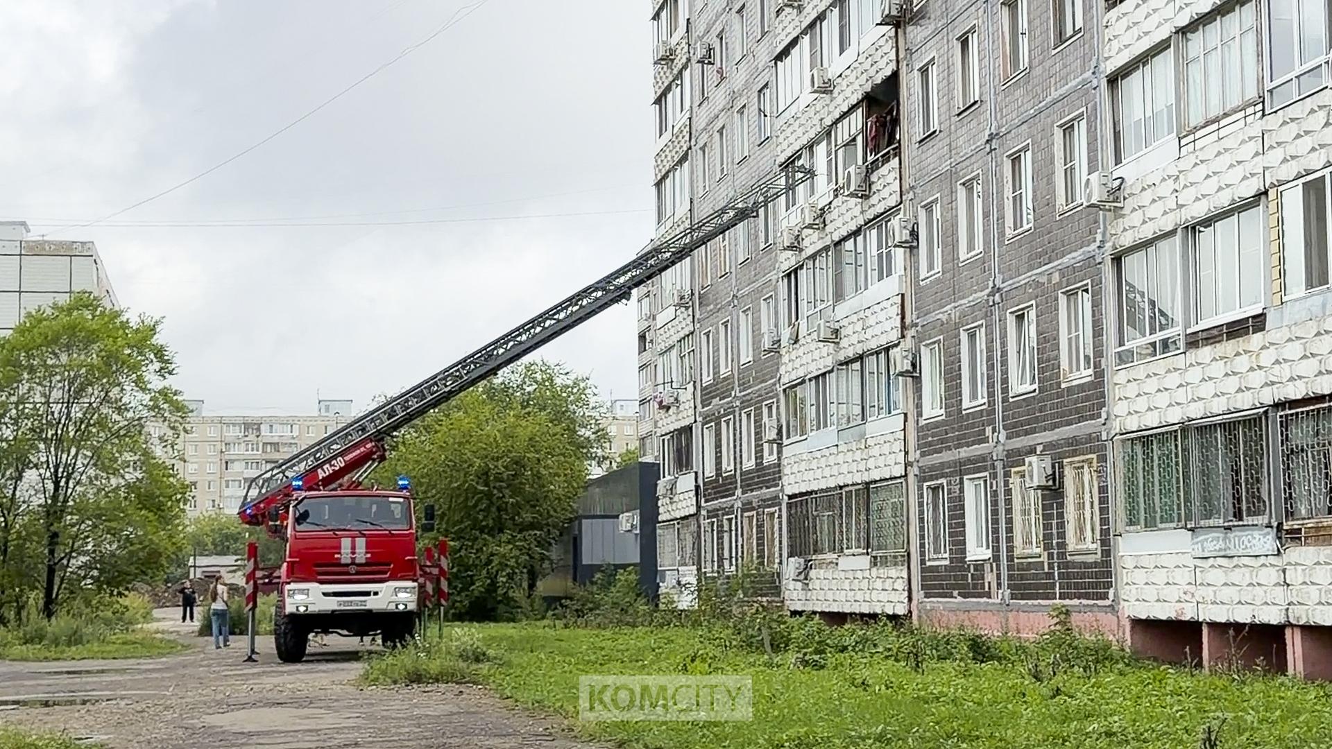 Три кошки погибли в пожаре на «новом Ленина»