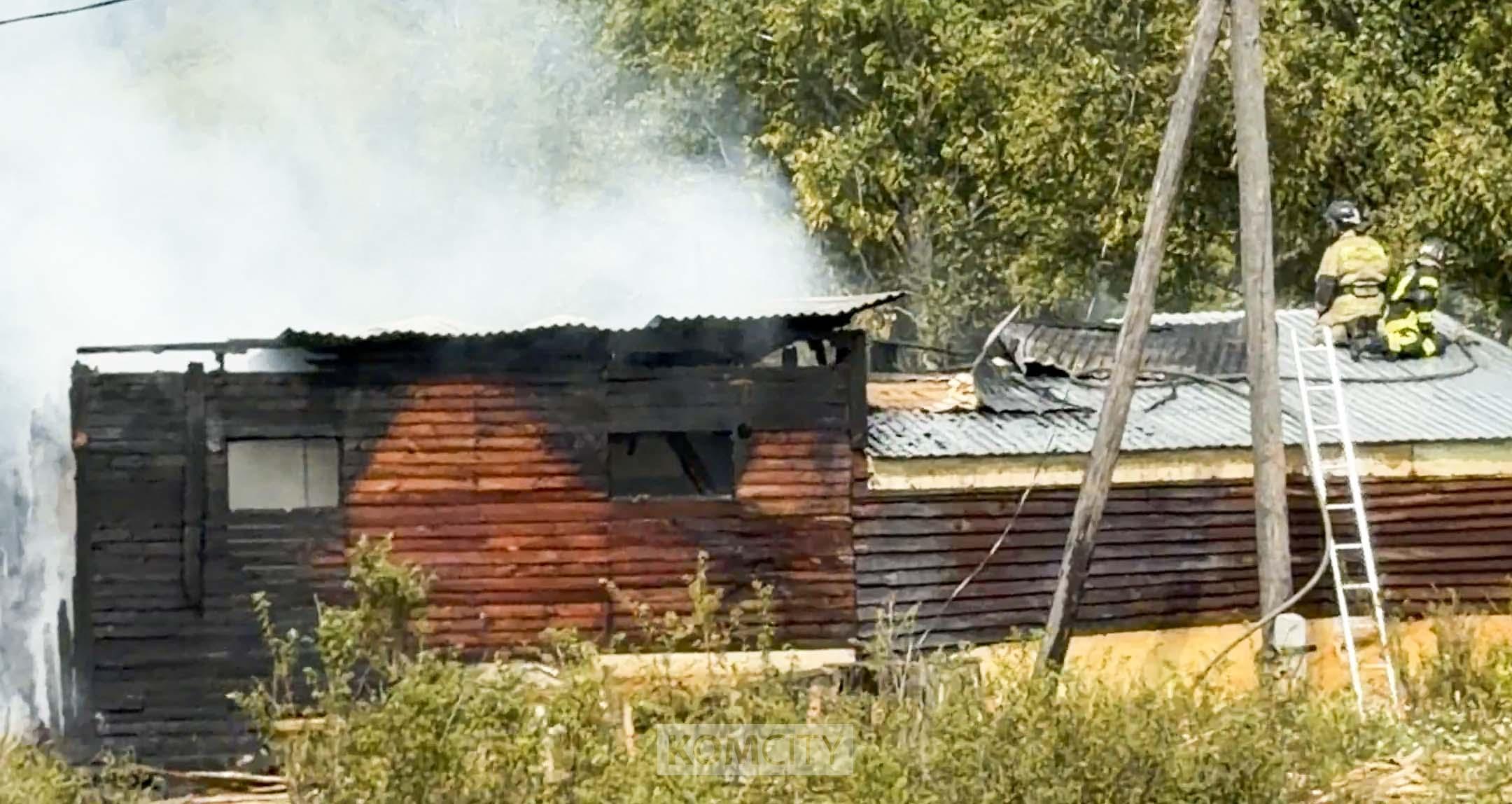 Жертвами пожара на Большевике стали свиньи и куры